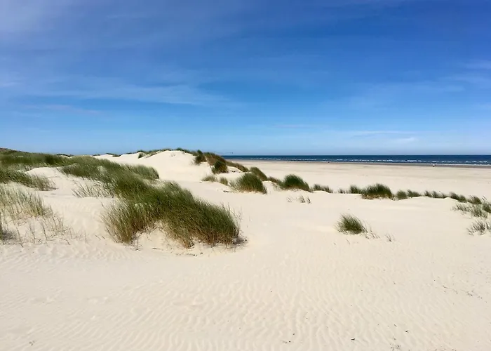 Haus Delft Elisa アパート